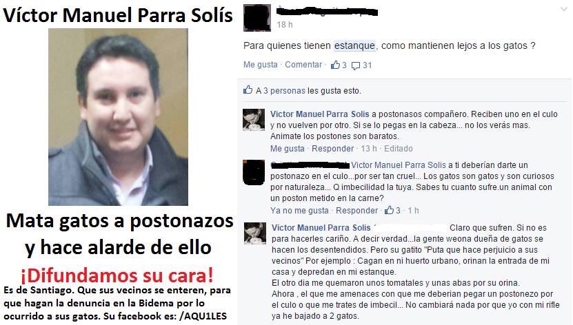 Canela 🐦⬛ tweet media