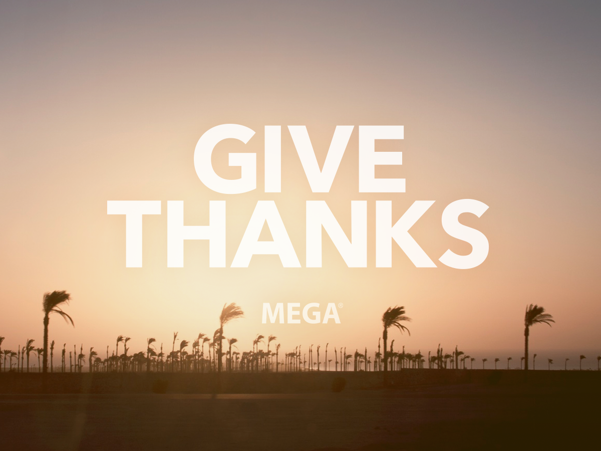 MEGA (@MEGA_Inc) / Posts / X