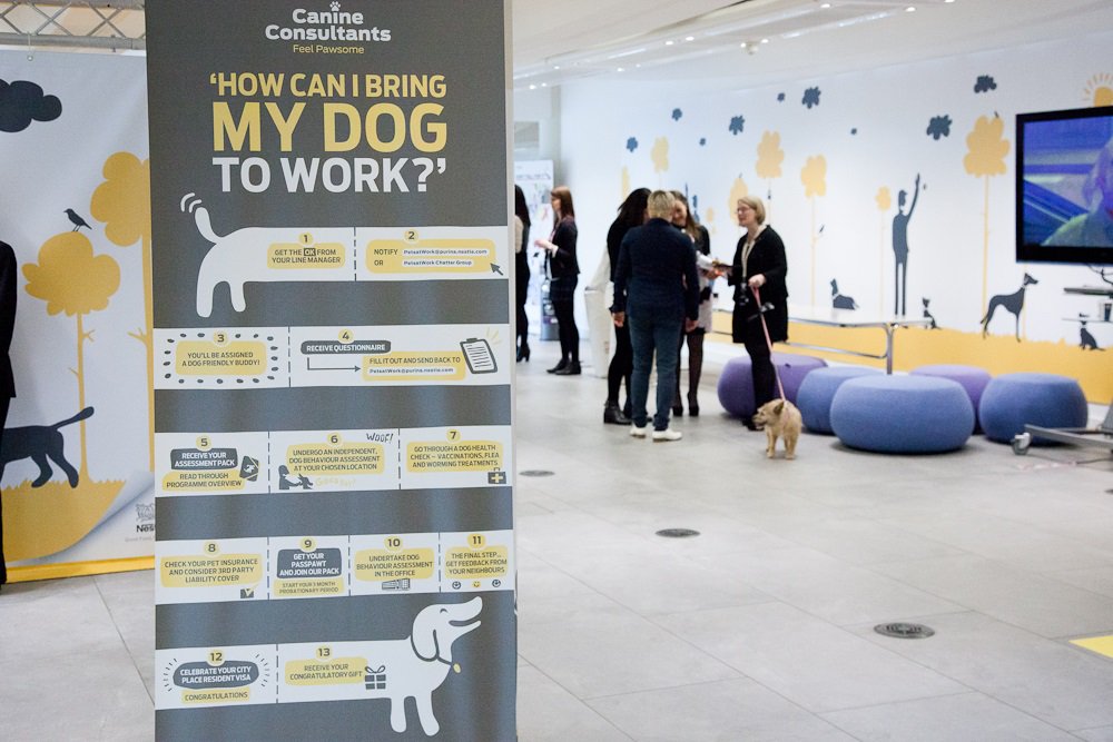 twilightbarkuk's tweet photo. Lunch break? Read our latest blog about #PetsAtWork Could this change the view of employers? https://t.co/Pkz9m6z1gh https://t.co/sqt7W9gWzg