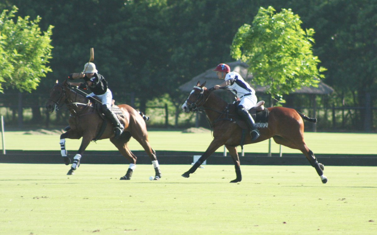PoloTimes's tweet photo. @maxcharltonpolo @Matt_Perry91 @luke_tomlinson #CameradeDiputadosCup #Argentina #BritsAbroad
https://t.co/OSfQeQpiT5 https://t.co/VNKpEiMUON