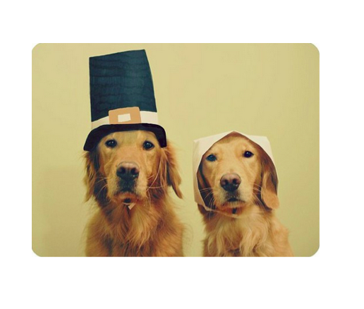 ever_prep's tweet image. Happy Thanksgiving from Gruber Prep!