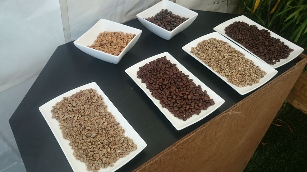 flavienkouatcha's tweet photo. Ya des dégustations de l'Office National du Cacao et du Café... Venez goûter au 100% 237
#CIF2015 https://t.co/DsPPfrcY8b
