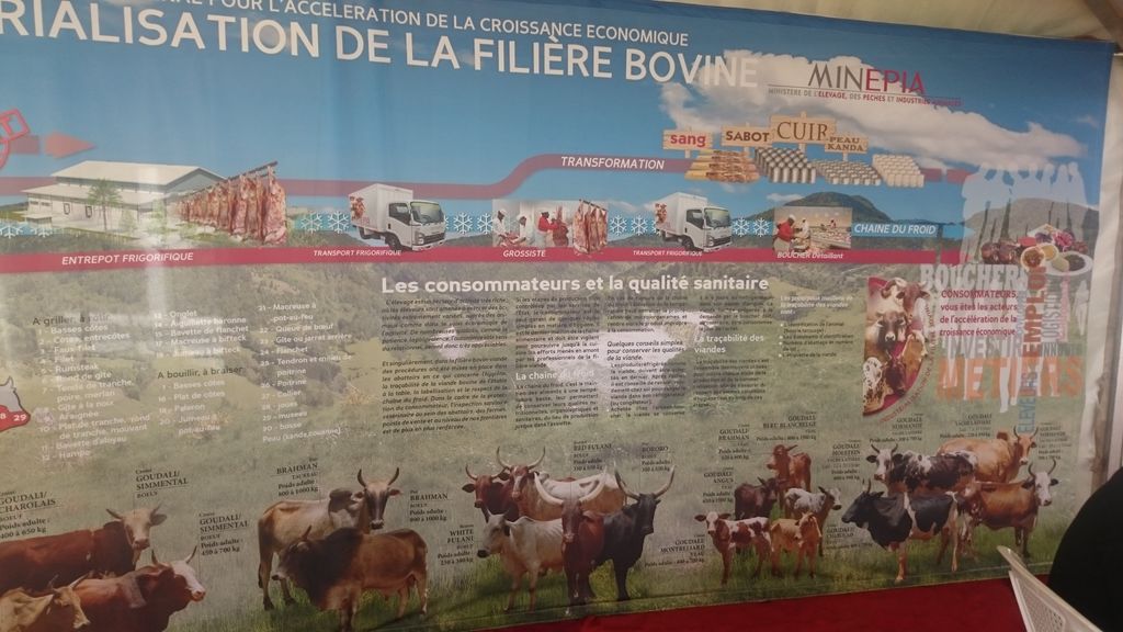 flavienkouatcha's tweet photo. Le MINEPIA est bien représenté, mais pas encore totalement installé. Ce sera plutôt demain de ce côté #CIF2015 https://t.co/LpD5qLTslh