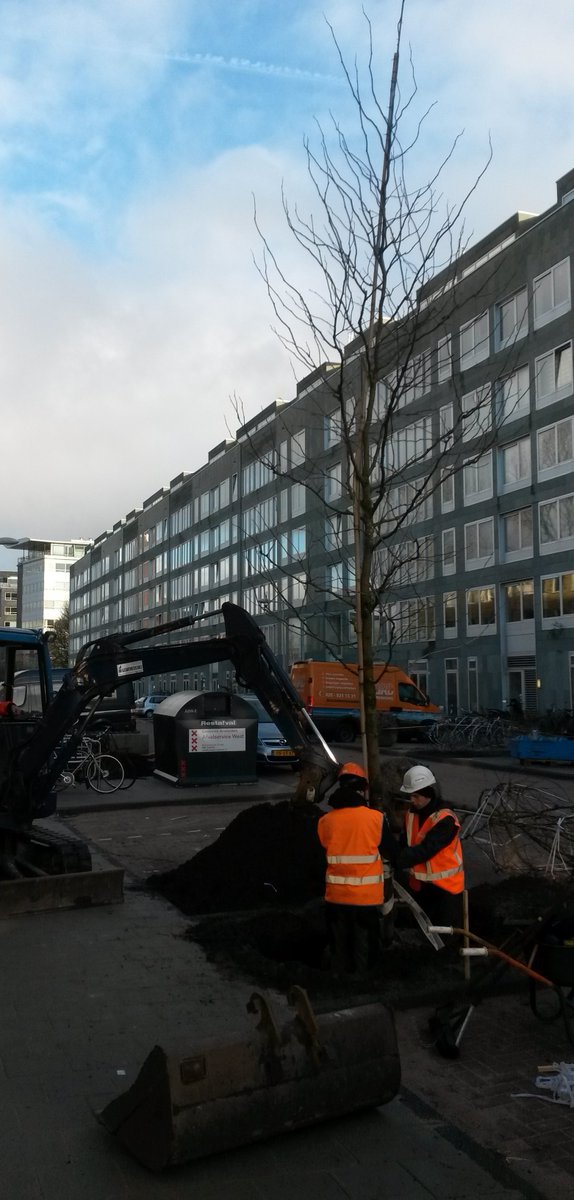 In <a href="/AmsterdamNL/">Gemeente Amsterdam</a> zijn wij op diverse plekken bezig met het planten van #bomen en #beplanting. #Groenkeur