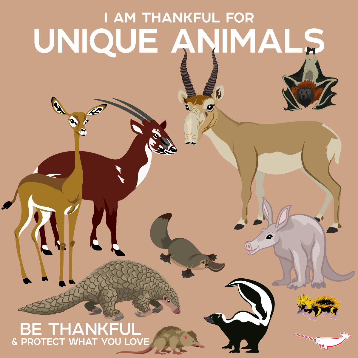 PepomintNarwhal's tweet photo. I'm #Thankful for Unique Animals!
#ConservationThroughCreativity
https://t.co/2BsS6D0k2Z https://t.co/pyOGyeIi18