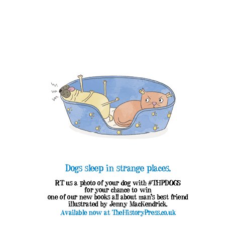 Embedded image permalink