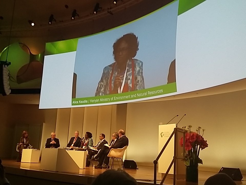 dieckhoffP's tweet image. Natural Capital is base for Africas way forward says Alice Kaudia at #gbs2015.com #bioeconomy