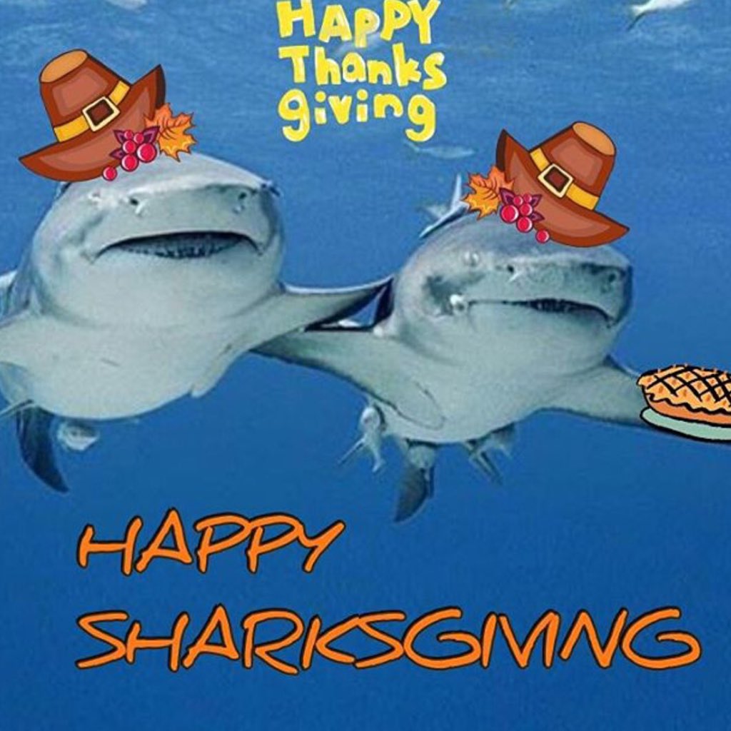 SRHS_SHARKS's tweet photo. #HappySharksgiving! It's a #SharkThing! https://t.co/Kt36dkhJIp