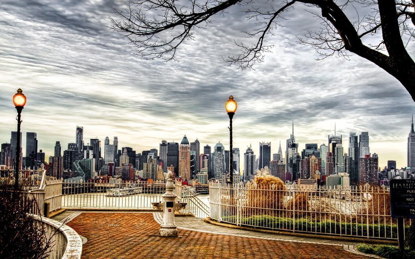 owipnet's tweet photo. New York, USA https://t.co/kTFpG2qrV4