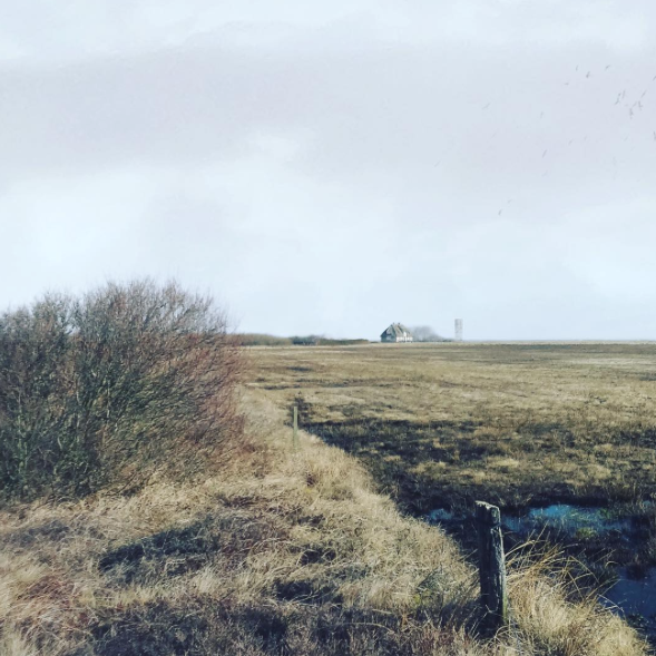 thearchiproject's tweet photo. We're going west to investigate how archs &amp; locals can learn from each other. See instagram https://t.co/frNGluZA3k https://t.co/kmKY2E7Jke