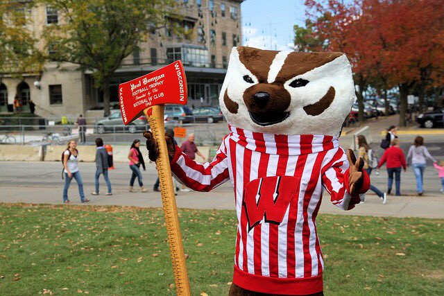 UWMadison's tweet image. Always carve your turkey with the sharpest tool you have. Let us know if you need help, @GoldytheGopher. #AxeWeek