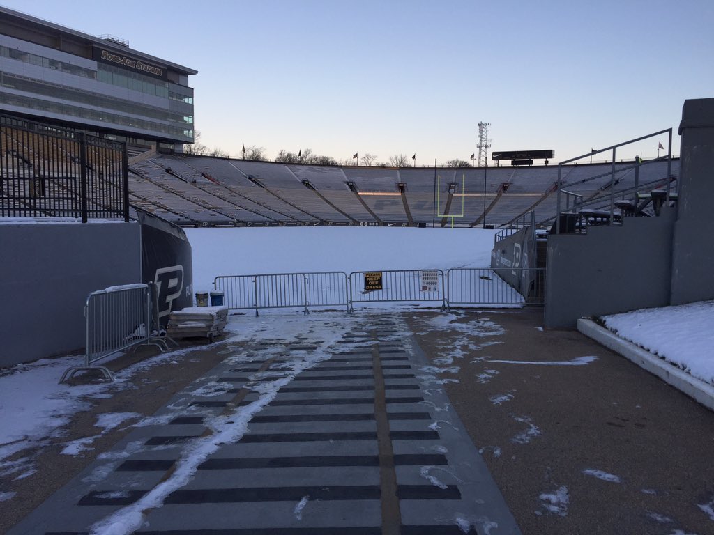 Purdue Sports Turf tweet media