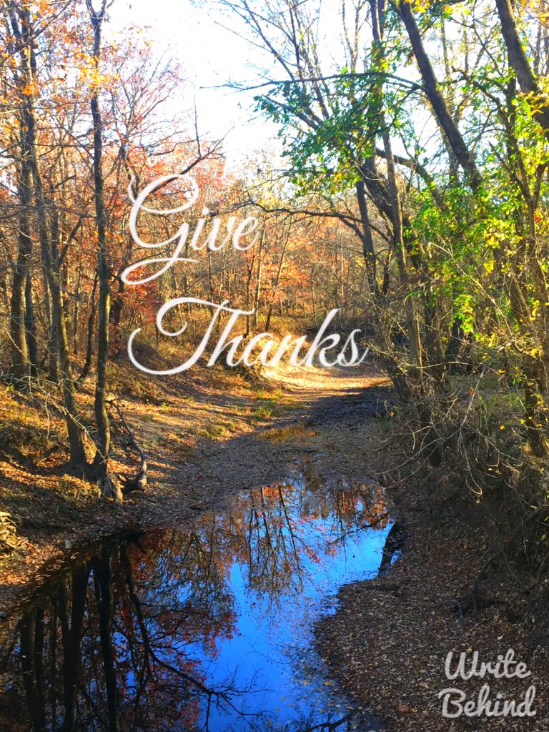 memmaker60's tweet image. With a grateful heart...