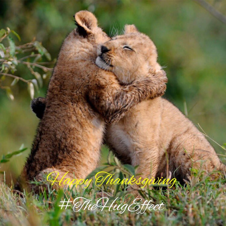 powerofhug's tweet photo. We are thankful to put smiles on faces! Send hugs with #hugmeapp today! Happy #Thanksgiving everyone #onelove https://t.co/lPXWcx2ePF