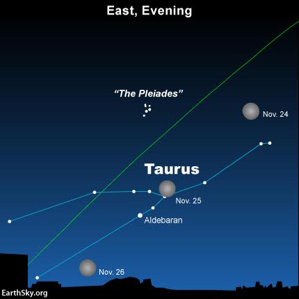 RT <a href="/earthskyscience/">EarthSky</a>: Here’s how the moon will look tonight in relationship to constellation Taurus.