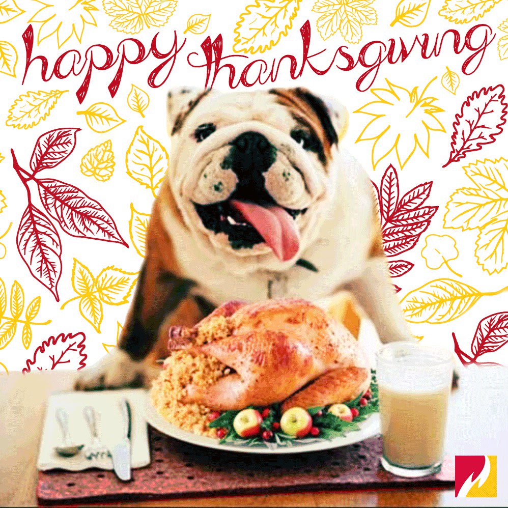 FerrisState's tweet photo. Happy Thanksgiving, Bulldogs. https://t.co/nIeVMi6Ly9
