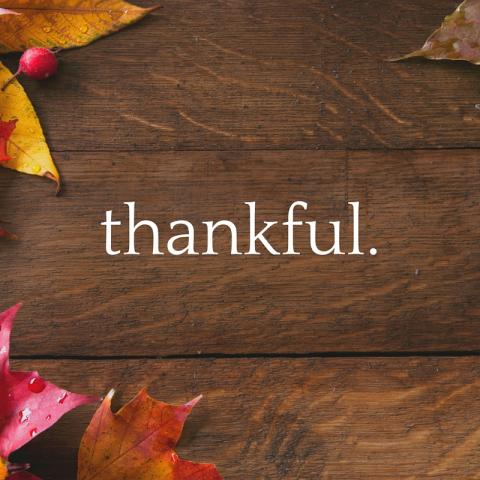 Bodhi Spa & Yoga tweet media