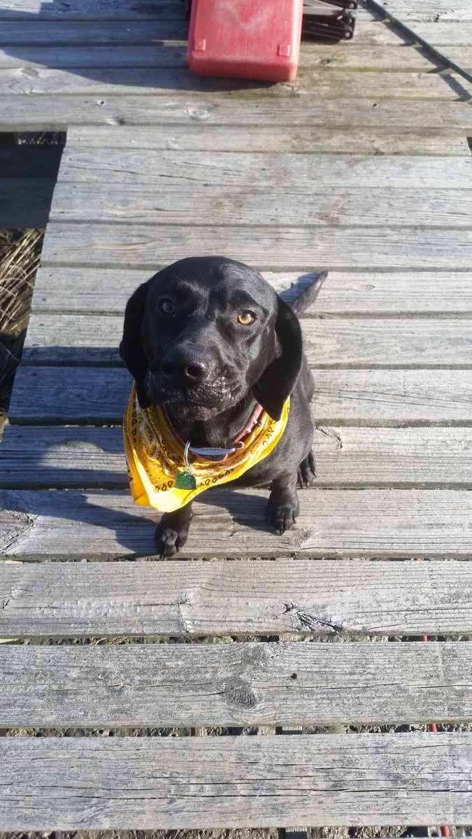 LeapTechLLC's tweet image. @kfreem99 happy thanksgiving to your fam. Glad to see you "twittering". That's what you old folks call it right?