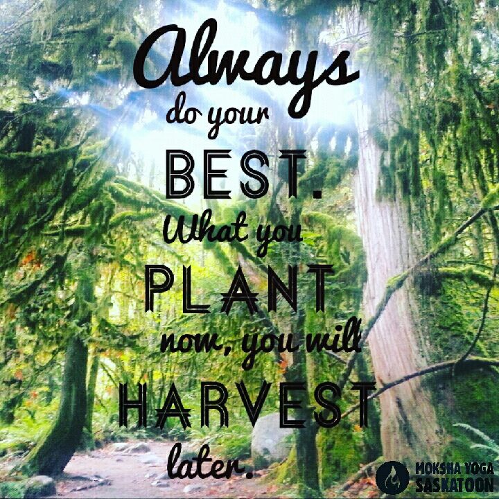 ModoYogaSask's tweet image. #ThankfulThursday A great reminder to choose your thoughts, actions &amp;amp; words w/ kindness. Always. #mokshamodolove