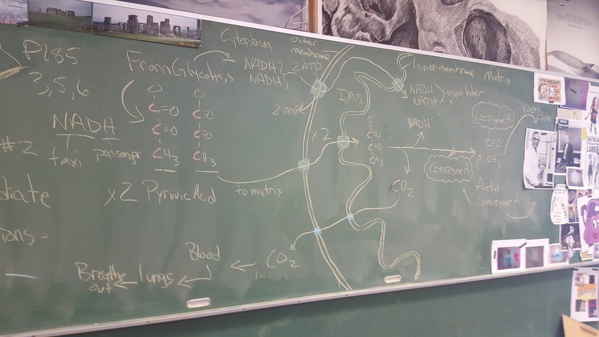 MrP_Bio's tweet image. #Bio30 Step #2 intermediate reactions...