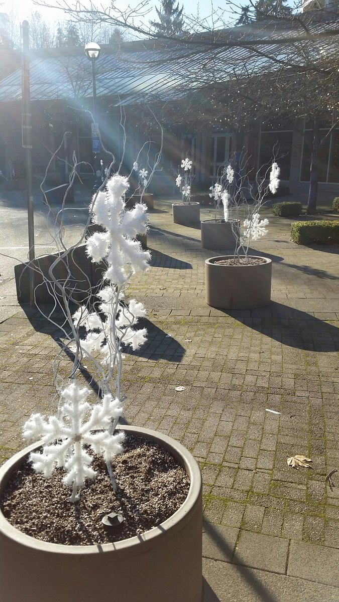CUPE825's tweet photo. The Holidays are quickly approaching and @cupe825 members have added some cheer to @cityofpomo City Hall! #portmoody https://t.co/ri2S5iaLEW
