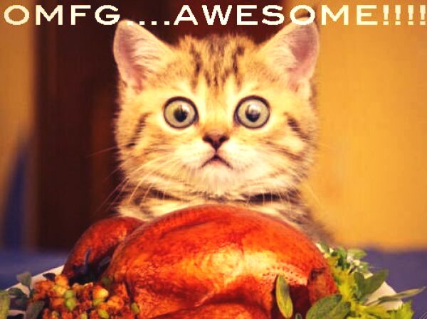 bobbyjotay's tweet photo. Happy turkey day everyone!!! Gobble! Gobble! What are you guys thankful for!! I'm thankful for everything and evry1! https://t.co/7A1sg0lxwb