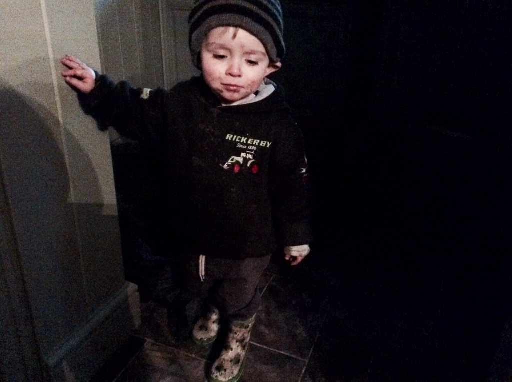 rattycastle's tweet photo. #farmerboy #urchin #Rickerbys #needabath  #Claas https://t.co/VJ1WvJ61A7