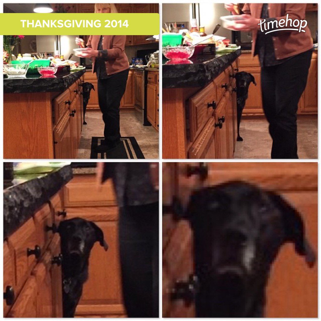 _AlexGookin's tweet photo. #throwbackthanksgivingthursday https://t.co/IhYW2KYsxZ