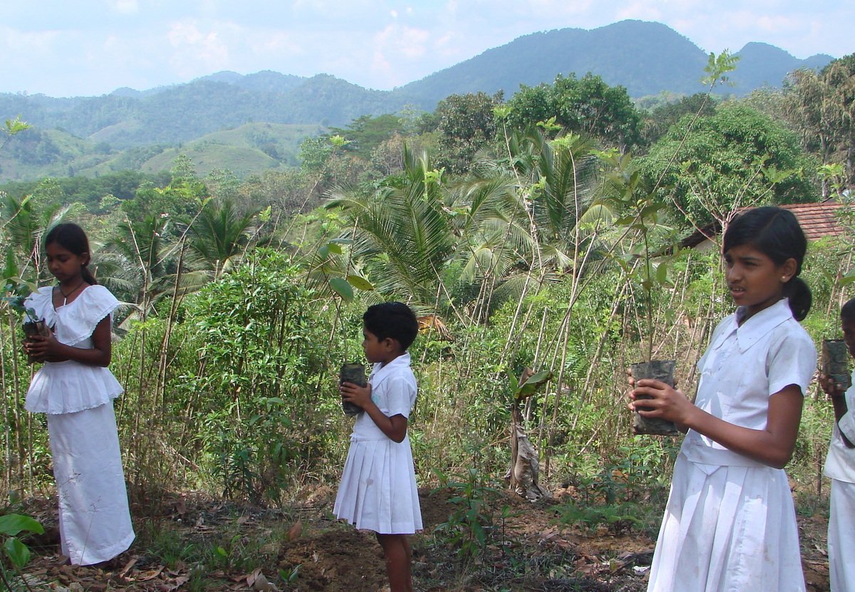 Ferdinand Swart tweet media