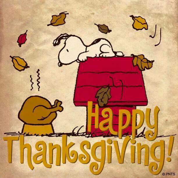 MarathonPitStop's tweet photo. Happy Thanksgiving
Have an amazing day!
#marathonpitstop #fitfam #gymlife #training #GymGirlsDaily #SnapBackToFit https://t.co/T0sHOtz3A6