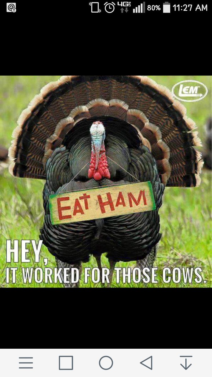 C_Hizzle14's tweet photo. Happy Thanksgiving! 💙💙 https://t.co/Y7XaWQ60KQ