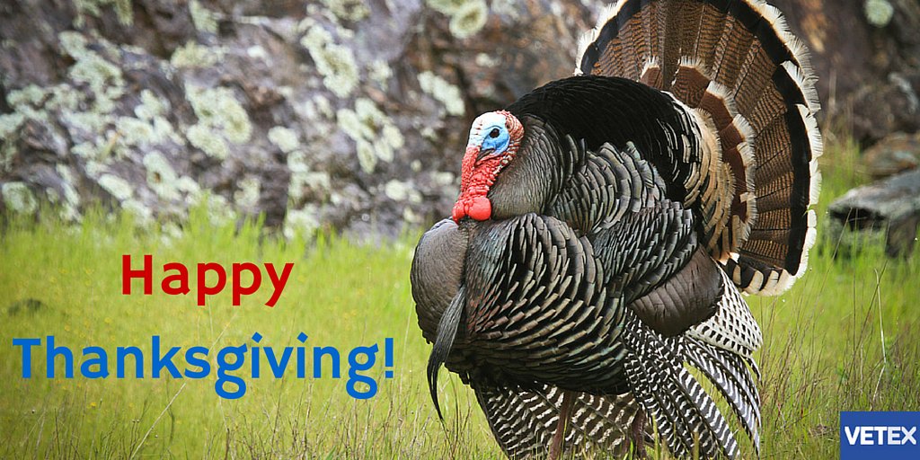 Happy #Thanksgiving, everyone! Enjoy this day with family and friends.