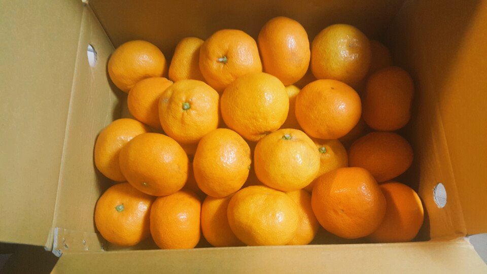 pparkjjizzang's tweet photo. 진짜 간만에 트윗😀여전히 익명?ㅋ으로 자이언트 삼실에 선물 보내주시는 분들이 계세요~감사합니다!!😊 
너무 맛있게 잘 먹었어욥~
갑자기 추워진 날씨에 감기 조심하세용!! https://t.co/3WYTV71gWt