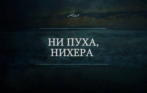 Мужской клуб (@muzhiki) on Twitter photo 