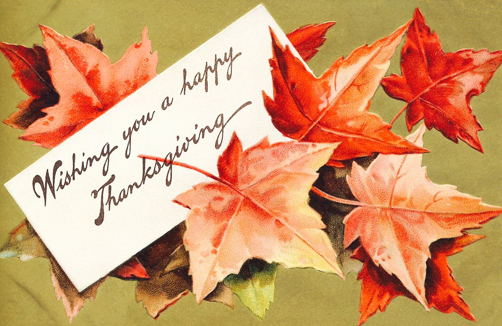 PiLambda_LPC's tweet image. #HappyThanksgiving @LambdaPiChi! #hermanalove