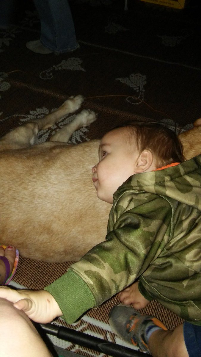 SeriouslyNicole's tweet photo. #DogThanking @Purina https://t.co/imETzHq6wz