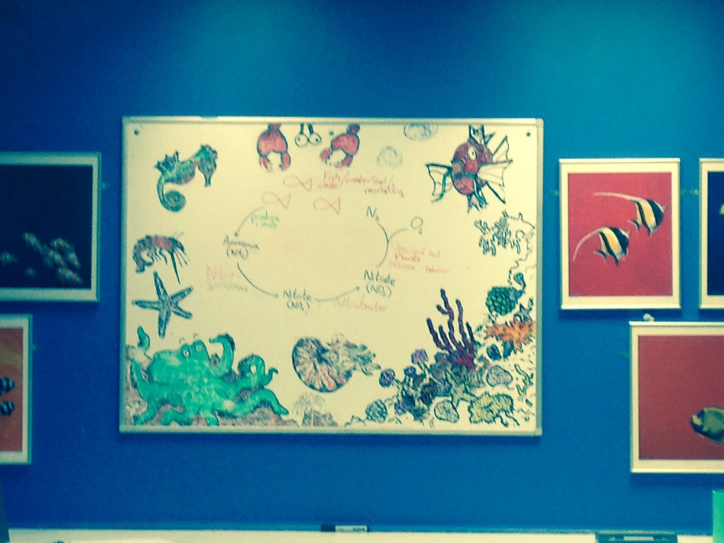 STEMunityonX's tweet photo. Discussing the nitrogen cycle @BlueReefPorts, great to hear from the experts :) #stem #fishproject https://t.co/rAccPstfd3