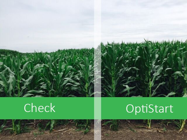 USuppliersInc's tweet photo. OptiStart has more vital nutrients than 10-34-0. Start right and wake up your crops. #starter #OptiStart https://t.co/hOk8cF5sHO