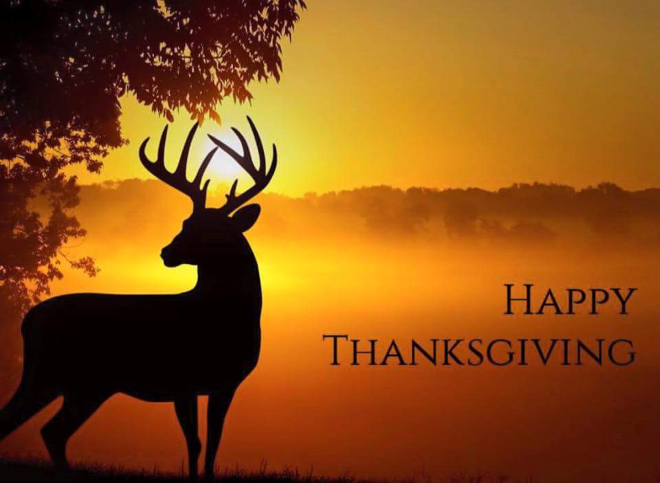 lets_run's tweet image. #happythanksgiving