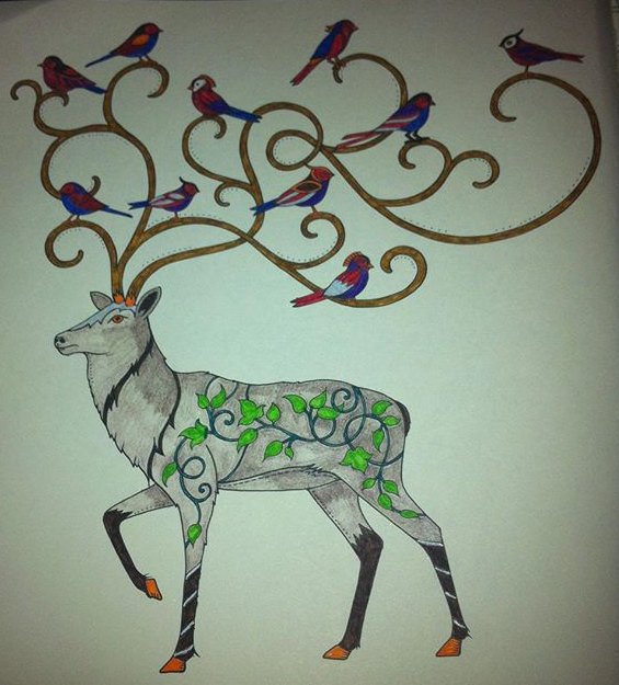 mumof3boys1234's tweet image. #johannabasford #enchantedforrest #AdultColouringBook