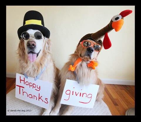 GreenexPestCtrl's tweet photo. Happy Thanksgiving! https://t.co/EHL3wxsCje
