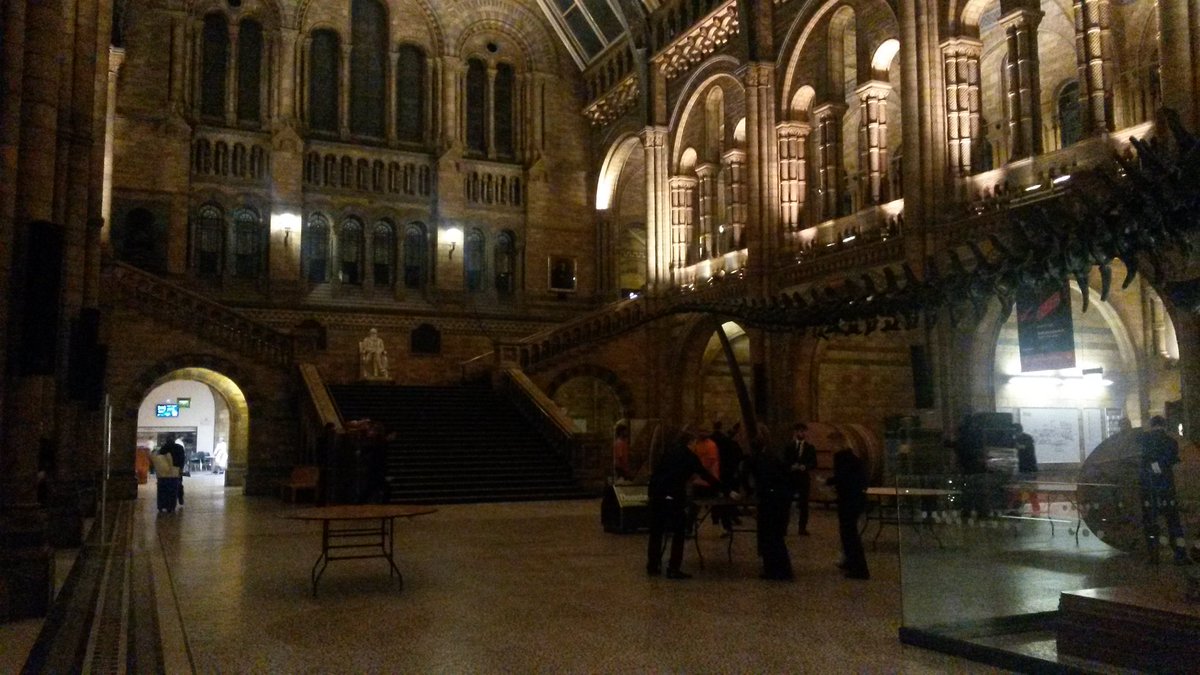 FelicityAtkin's tweet photo. Calm before the storm @payneandgunter setting up for 400 @NHM_London #efficiencyatitsbest https://t.co/Dj636ITmSK