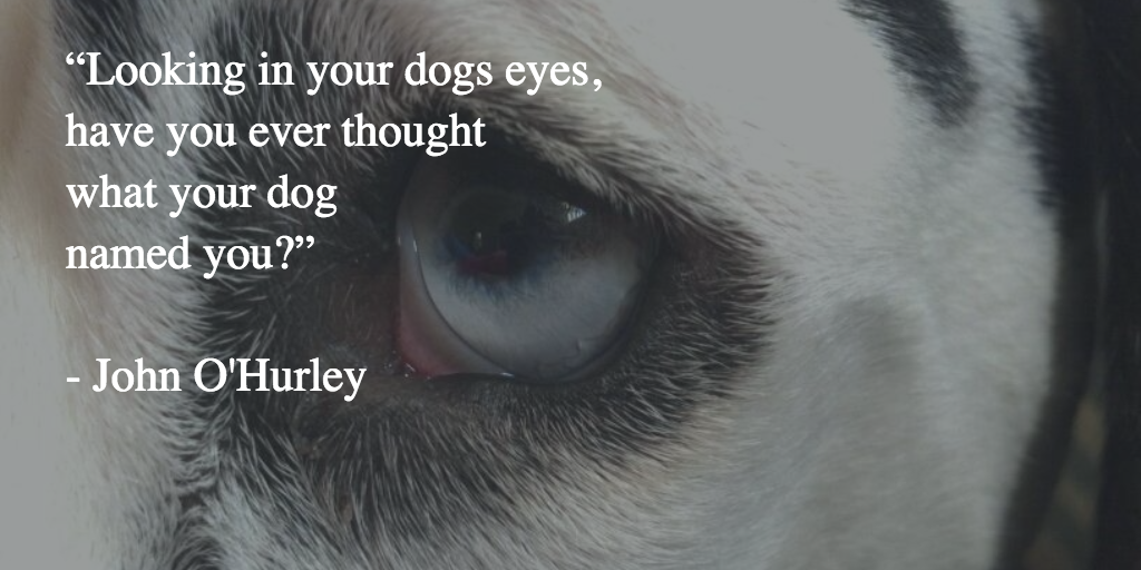 Adopt A Spot tweet media