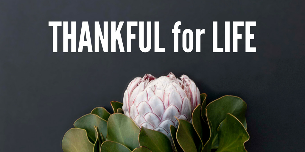 MakingStrides's tweet photo. Today we are thankful for 14.5M #cancer survivors, while remembering those we've lost. #HappyThanksgiving https://t.co/QzenUdS5uL