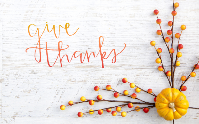 Basset_LA's tweet photo. This year, we're especially thankful to be a part of this amazing community. Happy Thanksgiving, everyone! https://t.co/D0MC8YAk8r