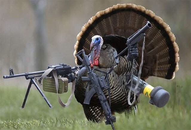 CloydRiversPics's tweet photo. Hey ISIS, Happy Thanksgivin'. Merica. https://t.co/vztBMWP6S9
