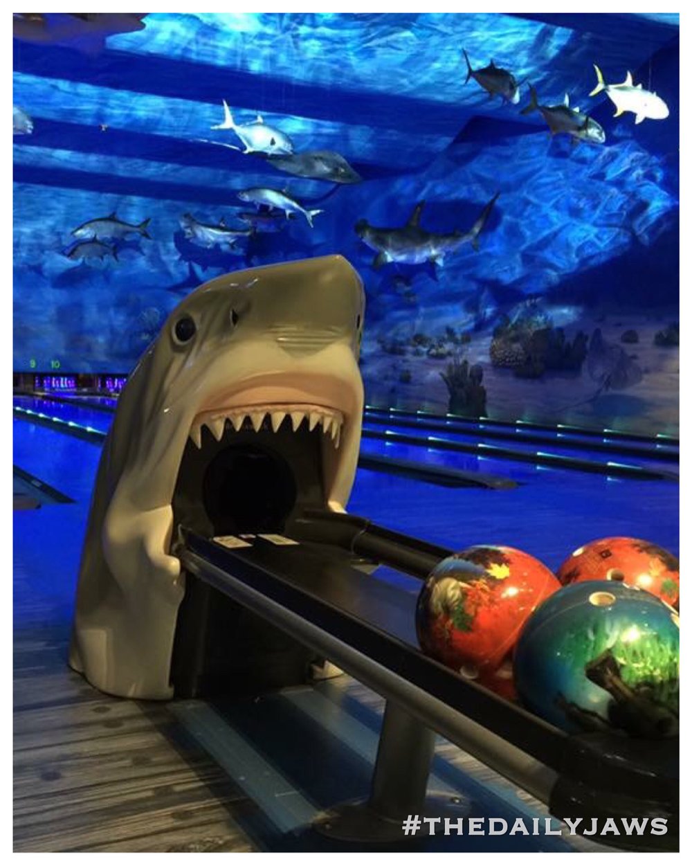 The Daily Jaws on X: JAWS 5: THE BOWLING ALLEY 😂🎳 #jaws #shark