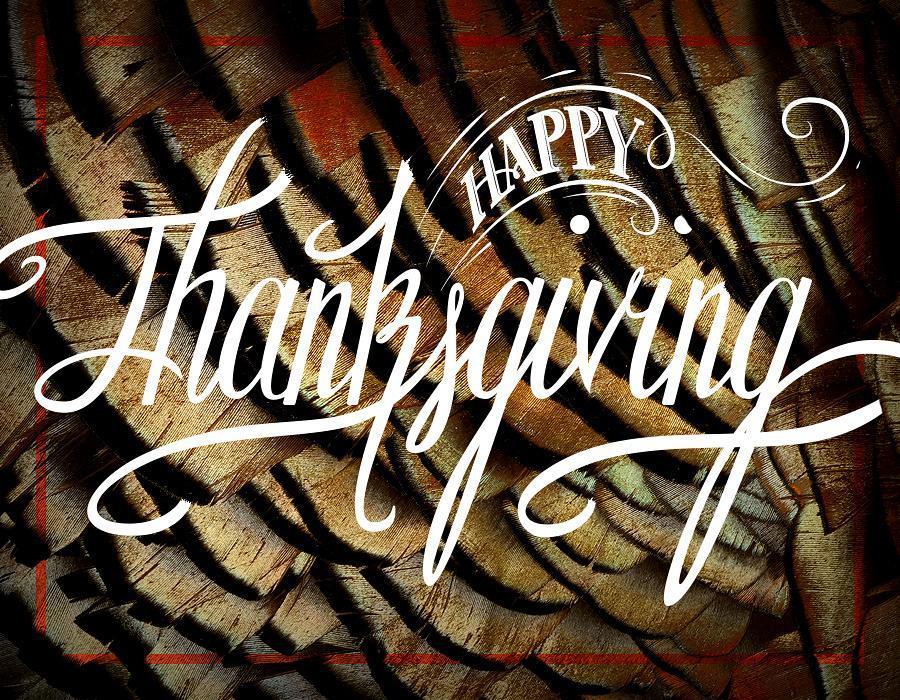 OrignauxMoose's tweet image. Happy #thanksgiving to you and yours! Eat up! #lettering #script #happy #turkeyday #feathers