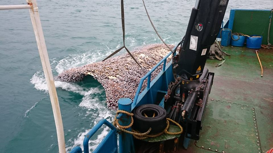 Embedded image permalink