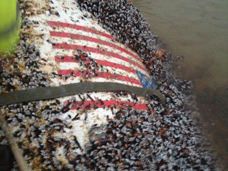 Embedded image permalink